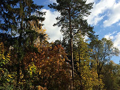 Autumn scenery