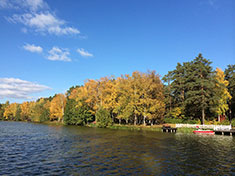 Autumn scenery