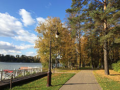 Autumn scenery