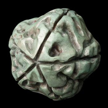 Rudraksha II